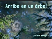 Arriba_en_un_a__rbol